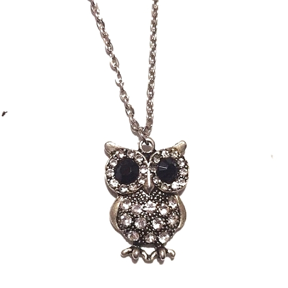 AEROPOSTALE BRASS-TONE OWL AND UNBRANDED SILVER-TONE OWL PENDANT NECKLACES - Picture 2 of 15